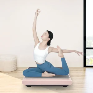 Whole Body Vibration Plate